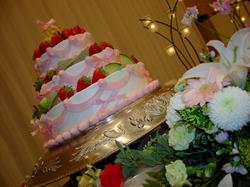 070415-5.jpg