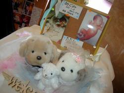 070520-3.jpg