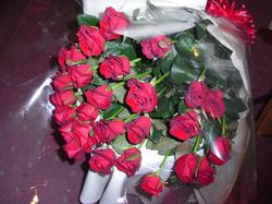 20080524_1-2 6.jpg